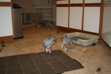 Enlarge photo 43