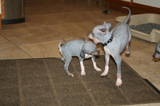 Enlarge photo 42