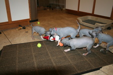Enlarge photo 38