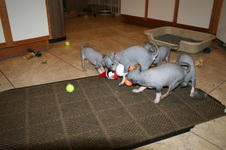 Enlarge photo 36