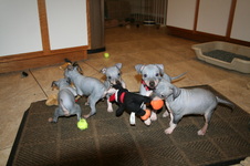 Enlarge photo 37
