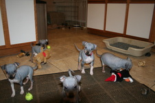 Enlarge photo 34