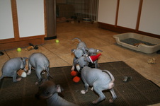 Enlarge photo 30