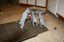 Enlarge photo 27