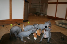 Enlarge photo 24