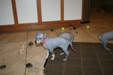 Enlarge photo 23