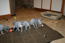 Enlarge photo 22