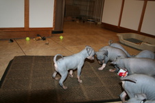 Enlarge photo 21