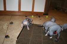 Enlarge photo 20