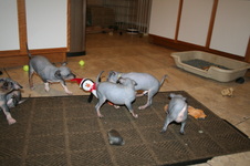 Enlarge photo 19