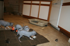 Enlarge photo 18