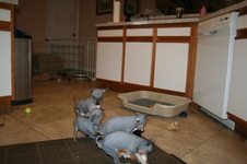 Enlarge photo 17