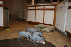 Enlarge photo 16