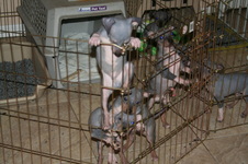 Enlarge photo 2