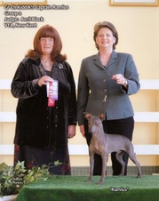 Enlarge photo 55