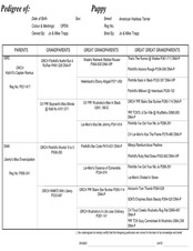 Enlarge PDF 73