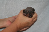Enlarge photo 10
