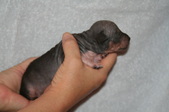 Enlarge photo 9