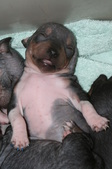 Enlarge photo 12