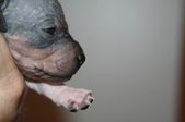 Enlarge photo 14