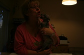 Enlarge photo 29