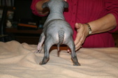 Enlarge photo 4