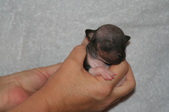 Enlarge photo 29