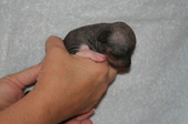 Enlarge photo 30