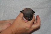 Enlarge photo 31