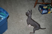 Enlarge photo 23