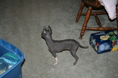 Enlarge photo 24