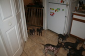 Enlarge photo 19