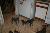 Enlarge photo 18