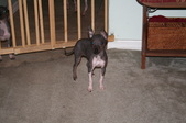 Enlarge photo 15