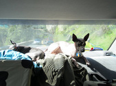 Enlarge photo 9