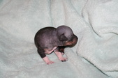 Enlarge photo 14