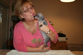Enlarge photo 32