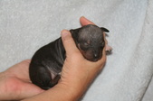 Enlarge photo 9