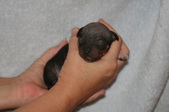 Enlarge photo 10