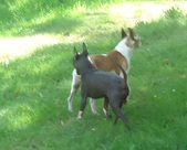 Enlarge photo 5