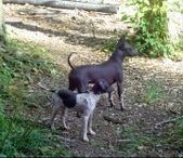 Enlarge photo 4