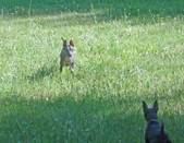 Enlarge photo 3