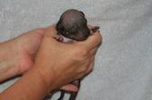 Enlarge photo 16