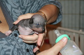 Enlarge photo 4