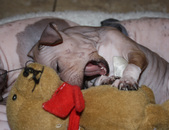 Enlarge photo 22
