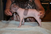 Enlarge photo 15