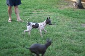 Enlarge photo 16