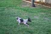 Enlarge photo 15