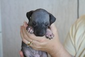 Enlarge photo 11