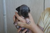 Enlarge photo 12